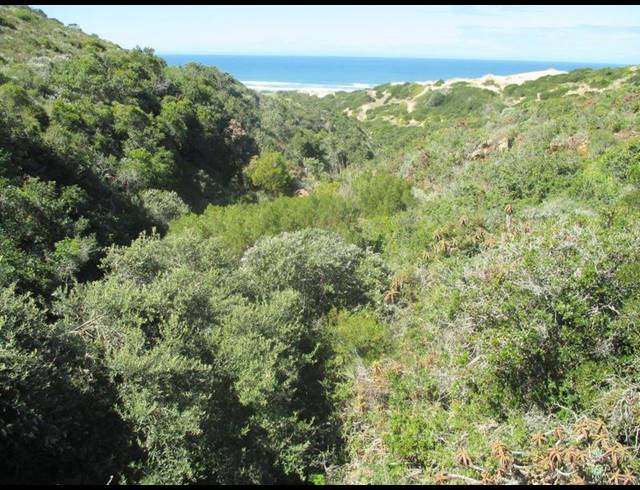 LAND FOR SALE IN NAUTILUS BAY